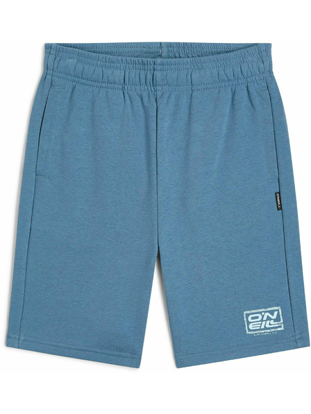 O'Neill O'Neill LOGO Момчески шорти Син