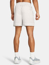 Under Armour Мъжки къси панталони Curry Woven Short на Under Armour