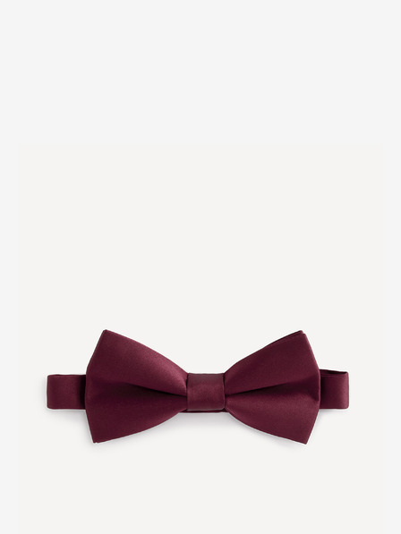 Celio Bibow2 Папийонка