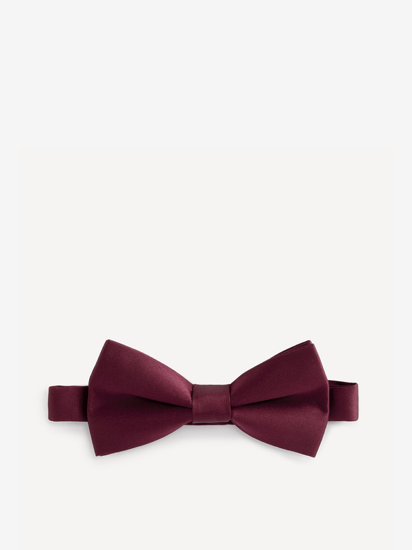 Celio Bibow2 Папийонка