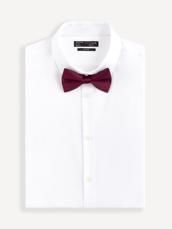 Celio Bibow2 Папийонка