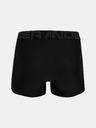 Under Armour Мъжки боксерки Under Armour UA Tech 3in (2бр)