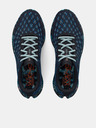 Under Armour UA W FLOW Velociti Wind2 DSD Sneakers