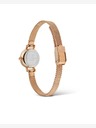 Daniel Wellington Дамски часовник Daniel Wellington Petite Mini 19 Melrose
