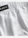 Atlantic Мъжки слипове ATLANTIC Sport 2Pack