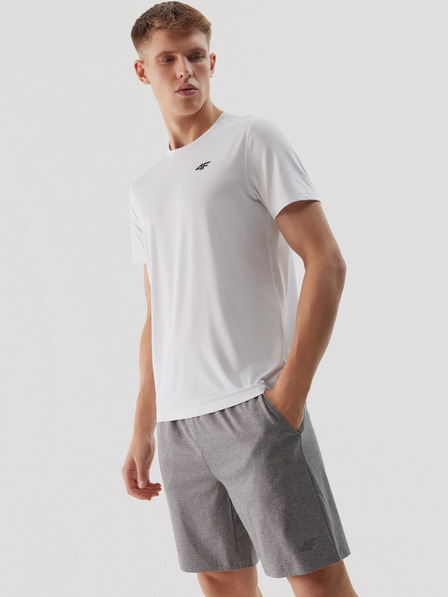 4F Мъжки спортни шорти за бързо съхнене 4F