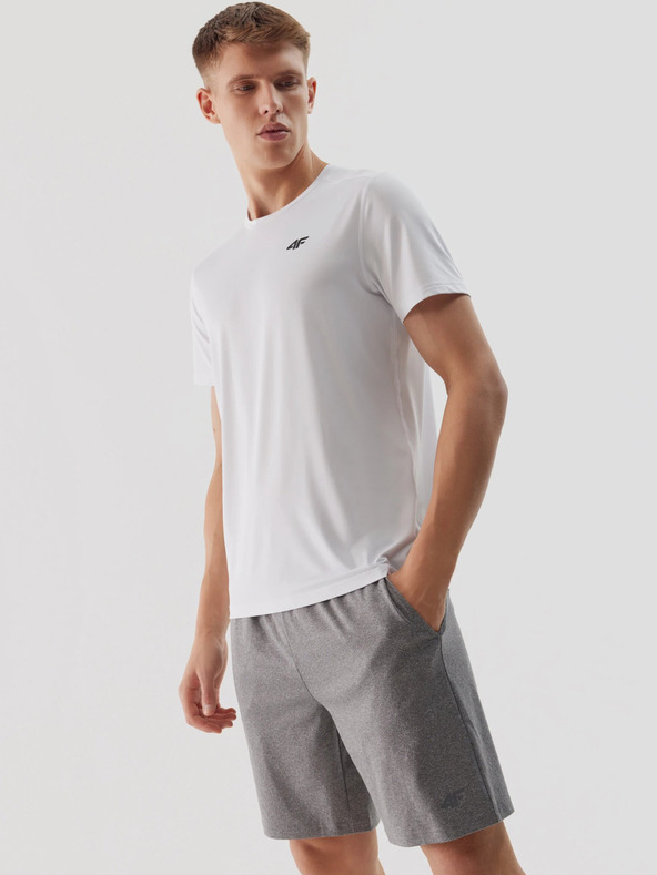 4F Мъжки спортни шорти за бързо съхнене 4F