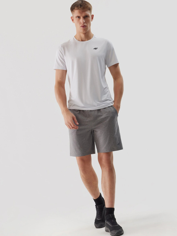 4F Мъжки спортни шорти за бързо съхнене 4F
