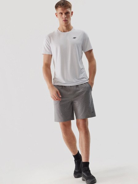 4F Мъжки спортни шорти за бързо съхнене 4F