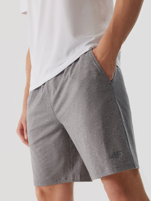 4F Мъжки спортни шорти за бързо съхнене 4F