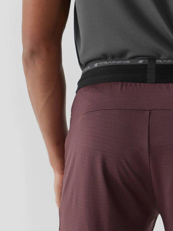 4F 4F Мъжки спортни панталони за бързо съхнене