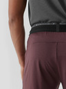 4F 4F Мъжки спортни панталони за бързо съхнене