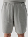 4F Мъжки спортен къс панталон 4F