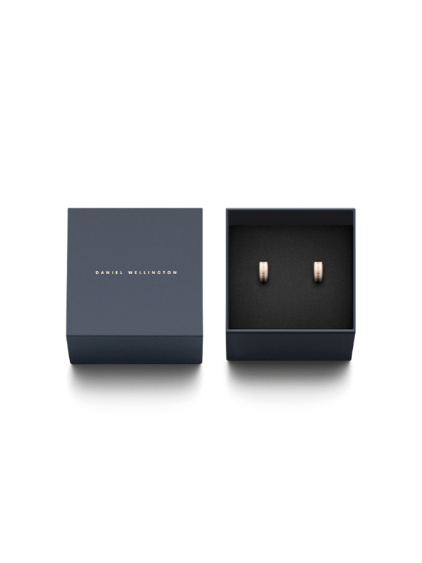 Daniel Wellington Даниел Уелингтън Стоманени обеци DW00400148