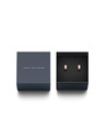 Daniel Wellington Даниел Уелингтън Стоманени обеци DW00400148