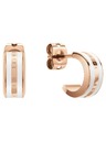 Daniel Wellington Даниел Уелингтън Стоманени обеци DW00400148