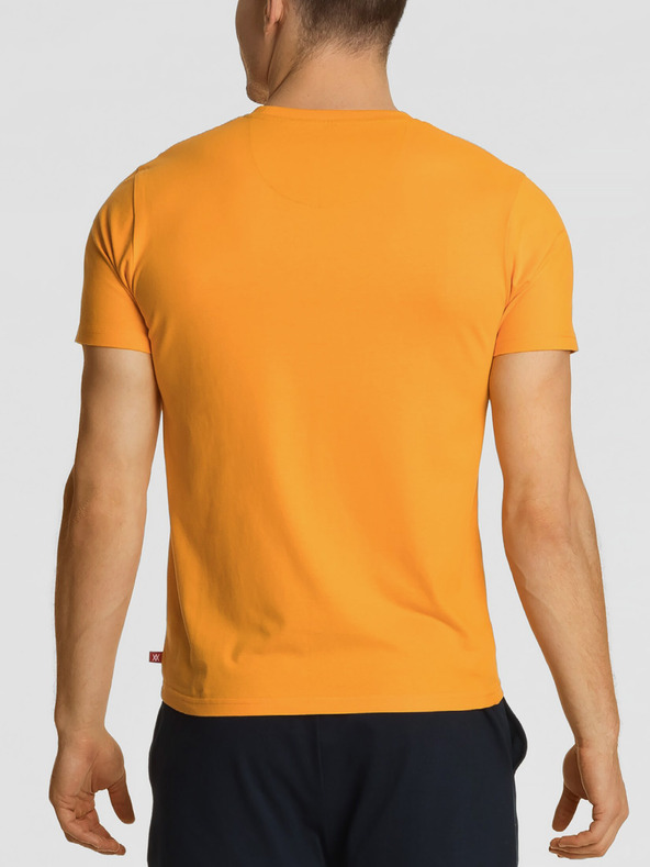 Atlantic Мъжка тениска с къс ръкав ATLANTIC