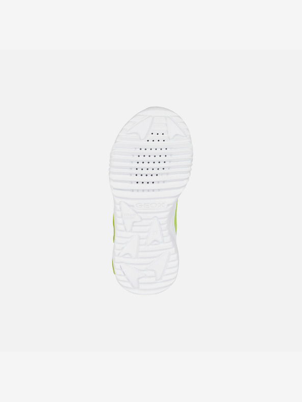 Geox Светлозелени кецове за момчета Geox Assister