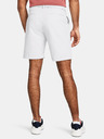 Under Armour Мъжки шорти Under Armour UA Tech Taper Short