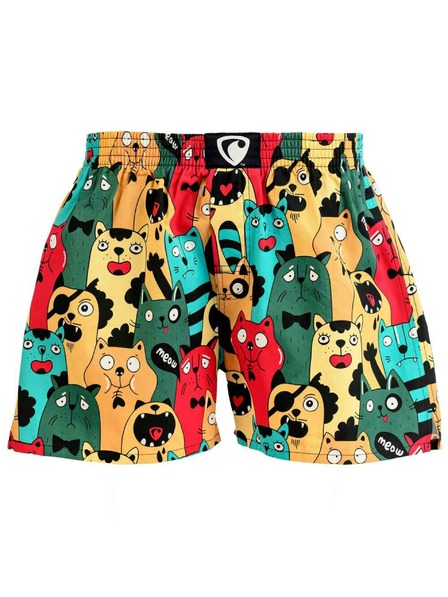 Represent Мъжки шорти EXCLUSIVE ALI CAT FANS Представител