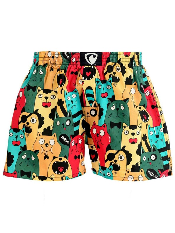 Represent Мъжки шорти EXCLUSIVE ALI CAT FANS Представител