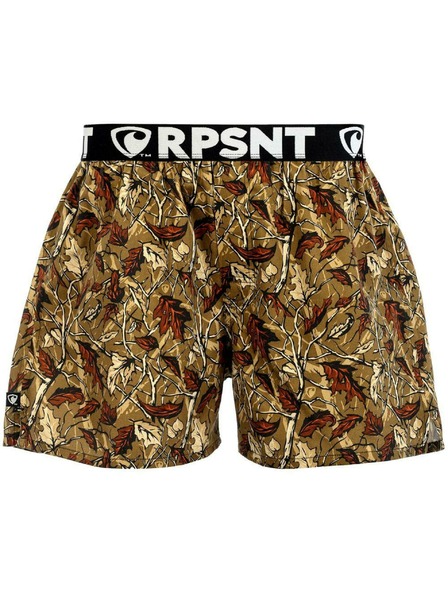 Represent Мъжки шорти EXCLUSIVE MIKE BEHIND THE LEAF Представител