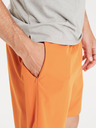 Virtus Мъжки спортни шорти Virtus Spier