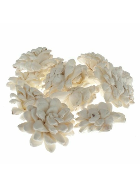 Casa de Engel Сухи хризантеми - комплект 12бр, 0/40