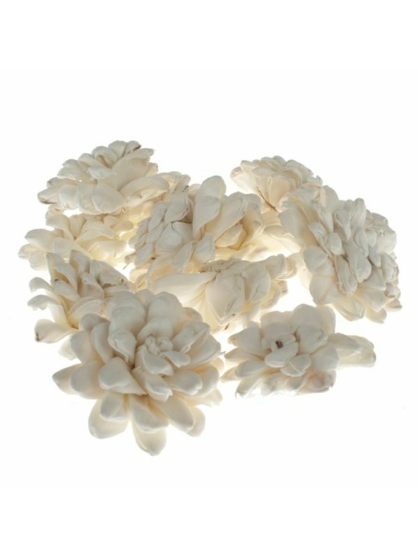 Casa de Engel Сухи хризантеми - комплект 12бр, 0/40