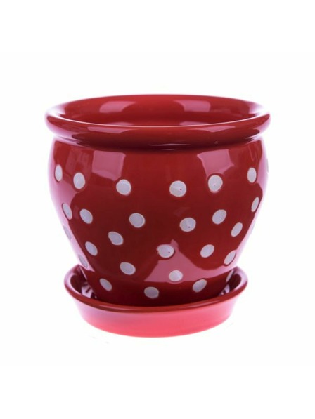 Casa de Engel Керамичен калъф за саксия, 0/24