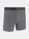 Under Armour Мъжки боксерки Under Armour M UA Perf Tech 6in (1 бр.)