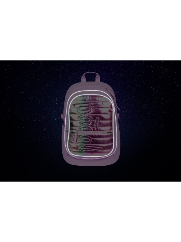 BAAGL  BAAGL Ученическа раница Core Лавандула