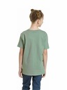 Meatfly Meatfly детска тениска Dino Olive | Зелена