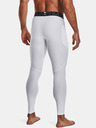Under Armour Мъжки компресионни клинове Under Armour HG Armour Leggings