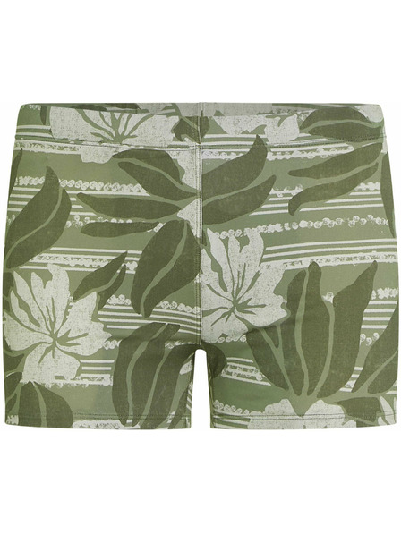 O'Neill O'Neill ESSENTIALS Мъжки бански Светлозелено