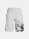 Under Armour Under Armour Boys UA Tech Woven Graphic Short