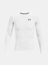 Under Armour Мъжка компресионна тениска Under Armour HG Armour Comp LS