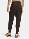 Under Armour Мъжки спортни панталони Under Armour UA TRAIL RUN PANTS-BRN