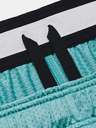 Under Armour Мъжки шорти Under Armour Pjt Rck Penny Mesh Sts TG