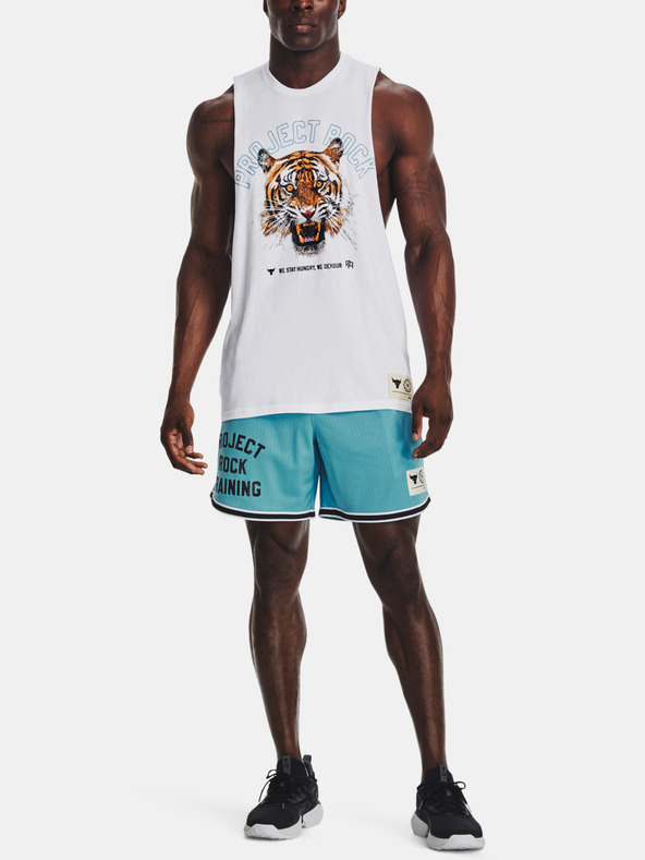 Under Armour Мъжки шорти Under Armour Pjt Rck Penny Mesh Sts TG