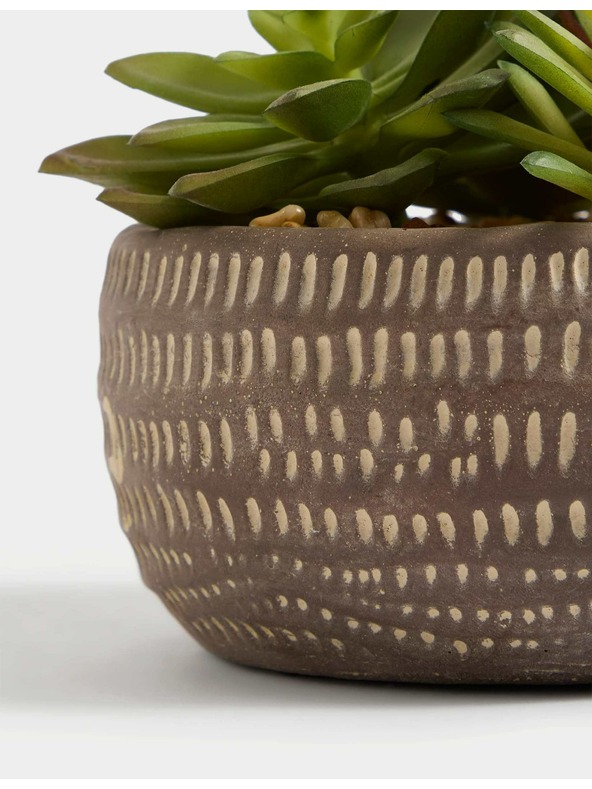 Marks & Spencer Изкуствени сукуленти в бетонен саксия Marks & Spencer сива