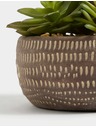 Marks & Spencer Изкуствени сукуленти в бетонен саксия Marks & Spencer сива