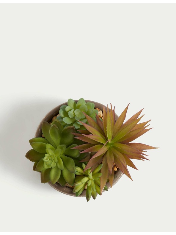 Marks & Spencer Изкуствени сукуленти в бетонен саксия Marks & Spencer сива