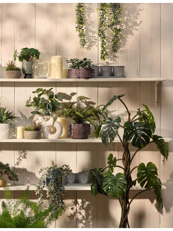 Marks & Spencer Изкуствени сукуленти в бетонен саксия Marks & Spencer сива