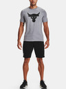 Under Armour Мъжки шорти Under Armour Project Rock Terry Shorts