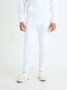 Celio Спортни панталони Fojoggie