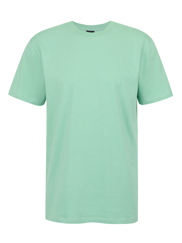 Sam 73 Светлозелена мъжка тениска SAM 73 Goose