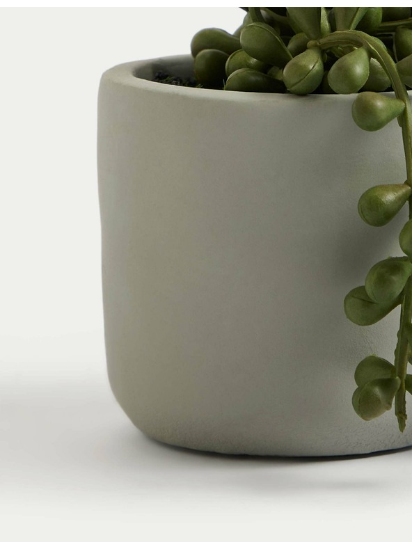 Marks & Spencer Изкуствен мини повисващ старец в саксия Marks & Spencer зелена