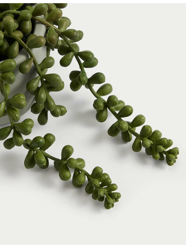 Marks & Spencer Изкуствен мини повисващ старец в саксия Marks & Spencer зелена