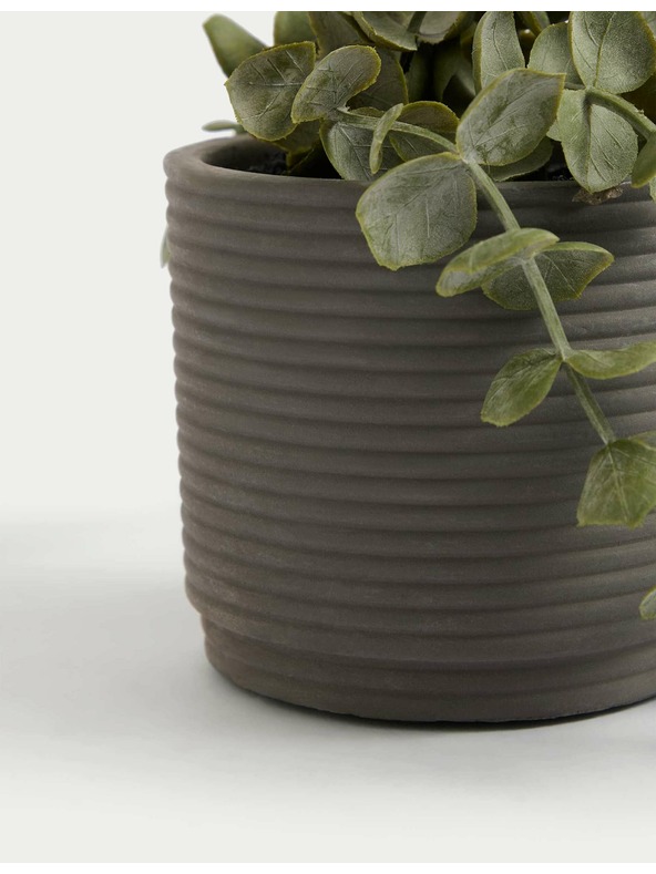 Marks & Spencer Изкуствен висящ свещник в бетонена саксия Marks & Spencer зелена